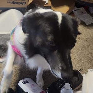 Meet your Posher, Barbara